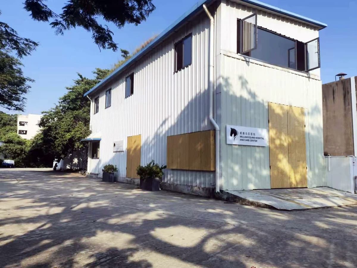 威廉的馬醫院設施